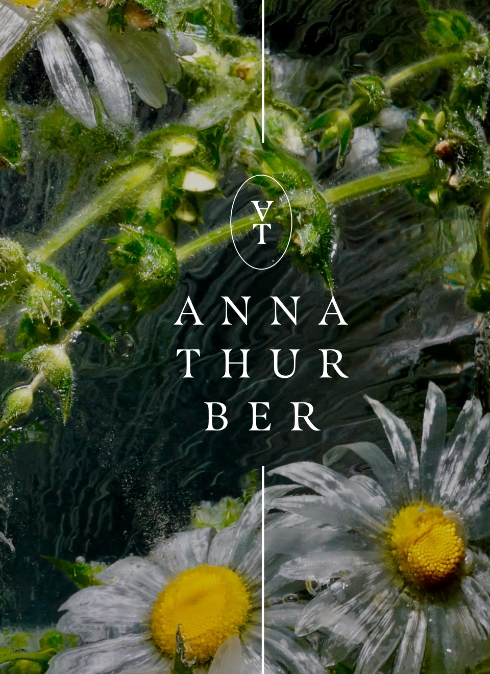 “Anna Thurber” is in between the in and life in “Frozen in Life” and the background is Anna’s Art featuring flora and fauna. The initials AT feature in an oval in the O