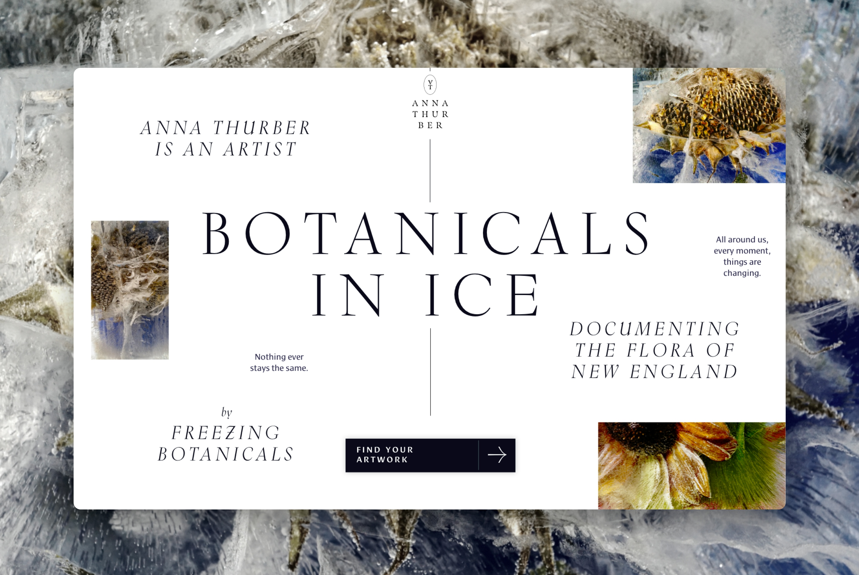 “Botanicals In ice” page with subtext “by Freezing Botanicals” and an explanation “documenting the flora of New England”
