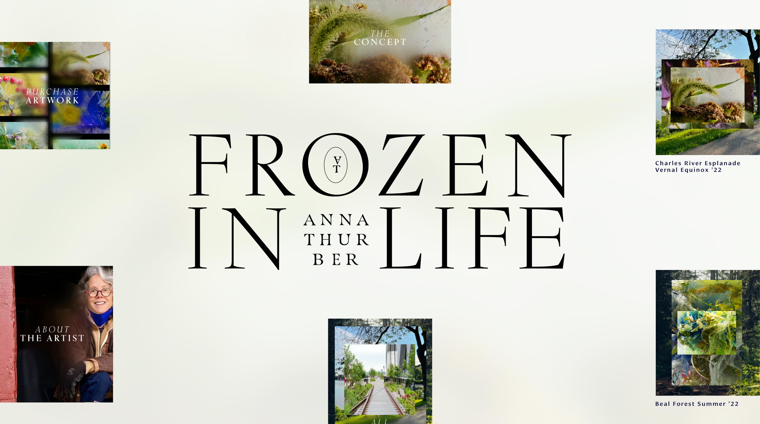 Six small project pictures feature around the “Frozen in Life” logo. “Anna Thurber” is in between the in and life in ”AT” feature in an oval in the O